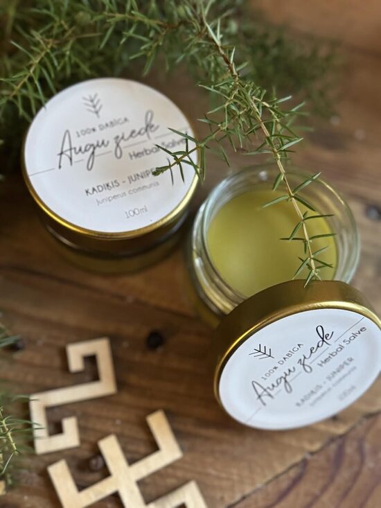 KADIĶU ZIEDE AR KAMPARU 