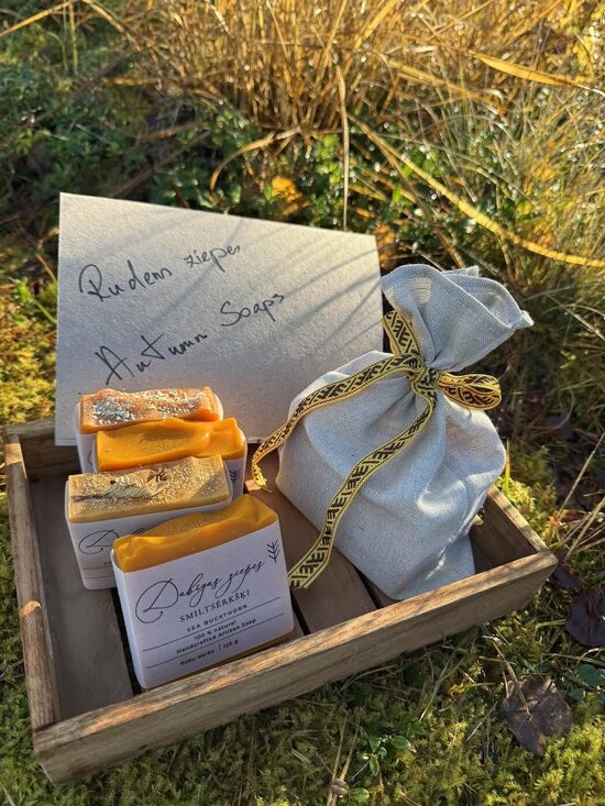 ZELTA RUDENS ZIEPJU KOMPLEKTS