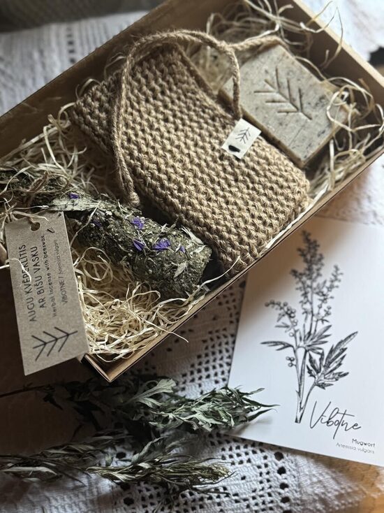 DĀVANA PIRTSMĪĻIEM - SPĒKA VĪBOTNE